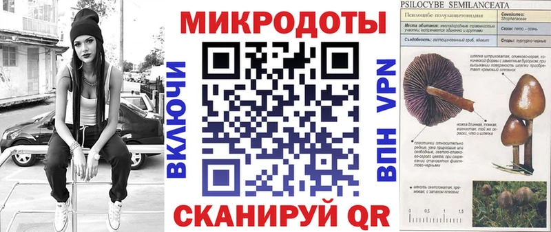 Псилоцибиновые грибы GOLDEN TEACHER где найти наркотики Яблоновский